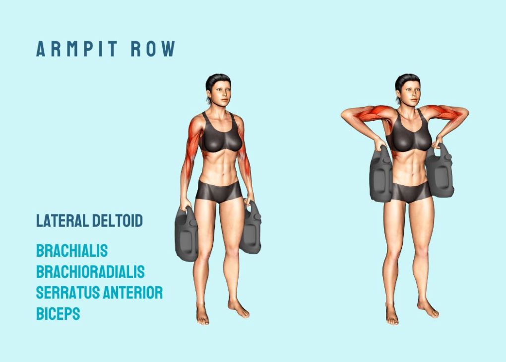 rows exercise muscles